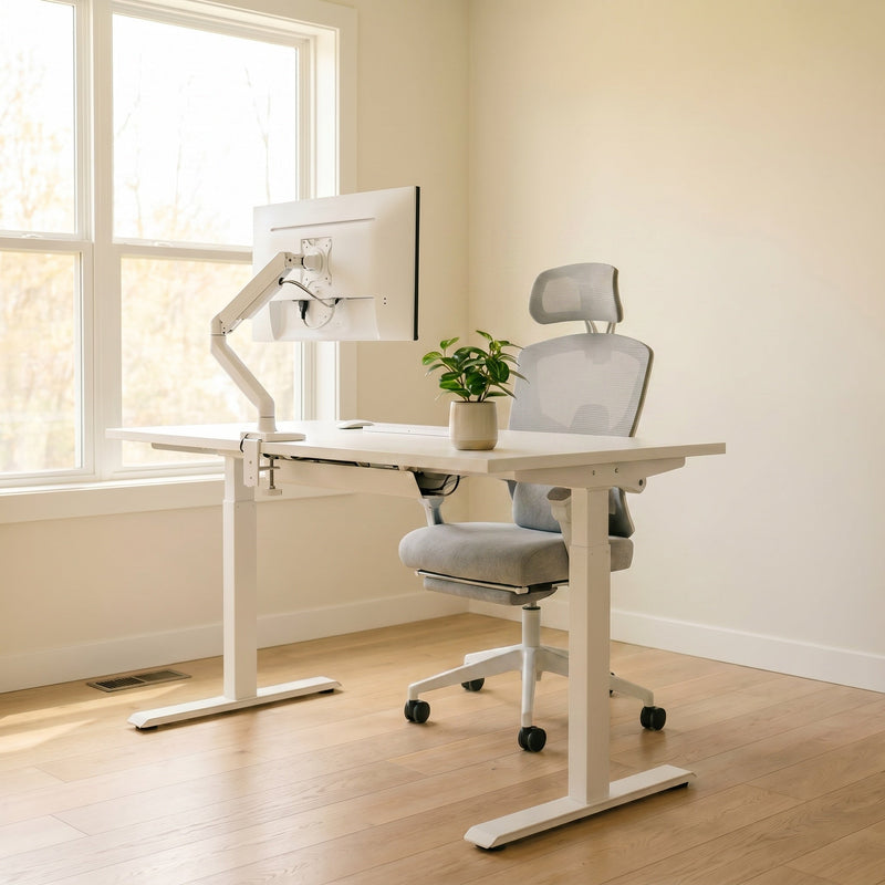 Chaises Ergonomiques