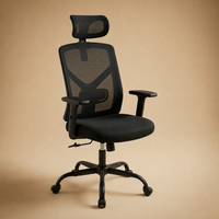 Chaise de Bureau Ergonomique AirFlex